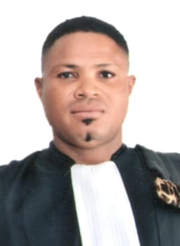 Logo de LUSHIKU NTUMBA