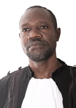 Logo de BAMUA NKUADI