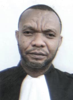 Logo de TSHULEMBO ILEKO